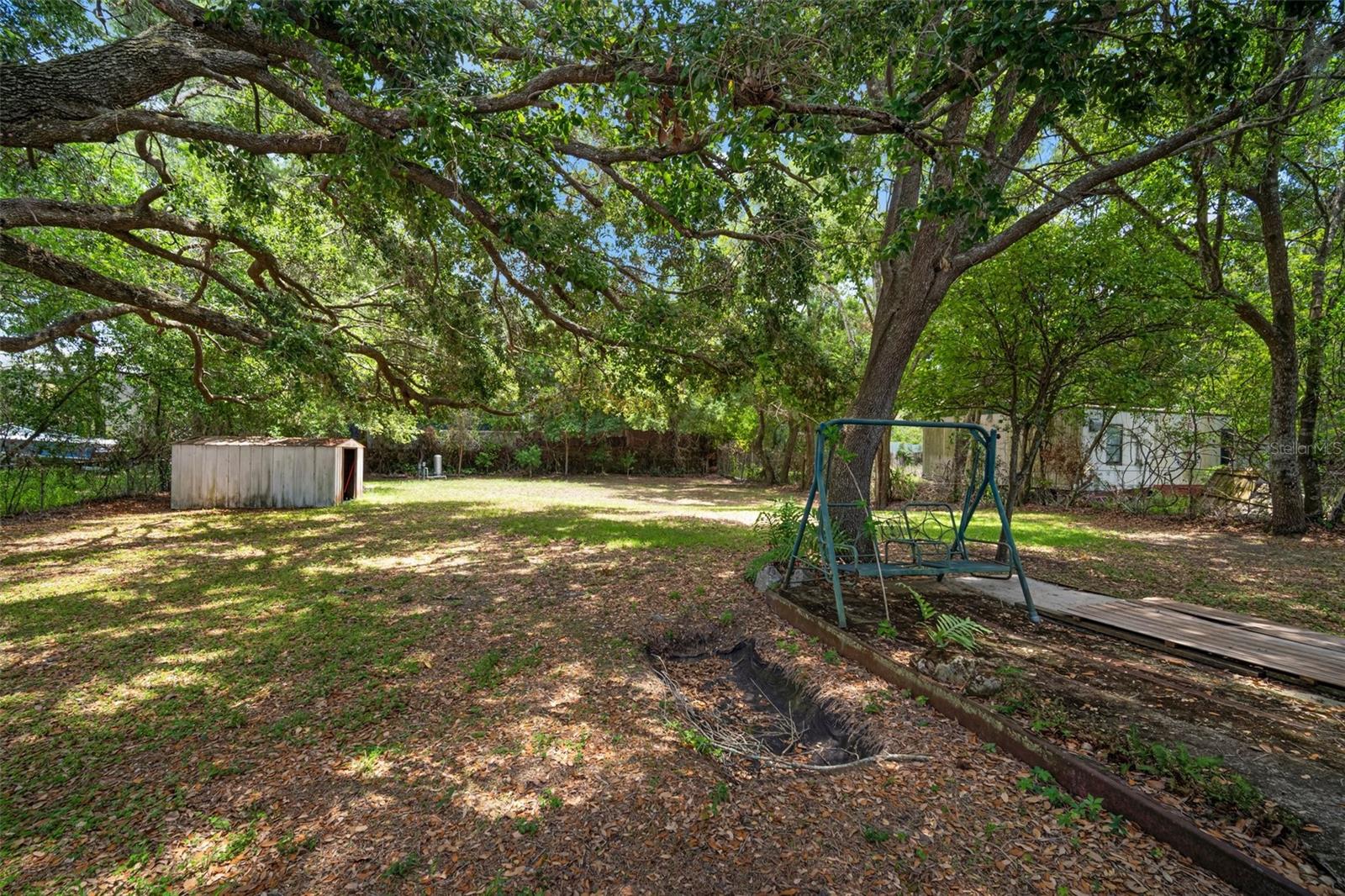 Backyard