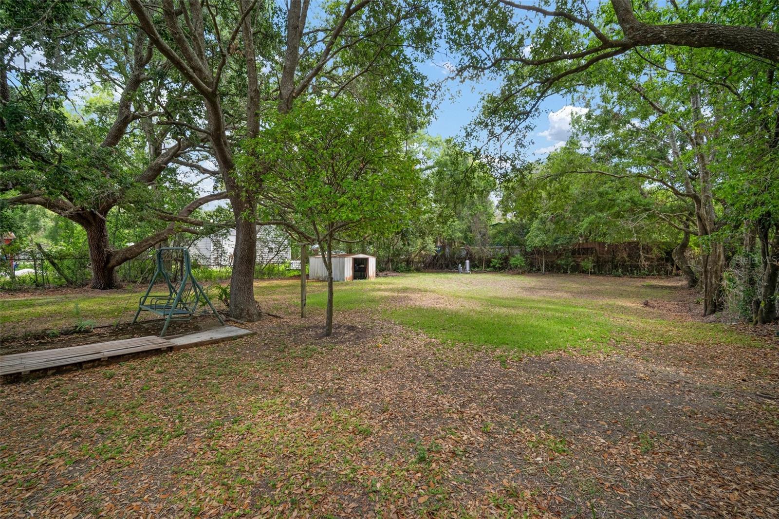 Backyard