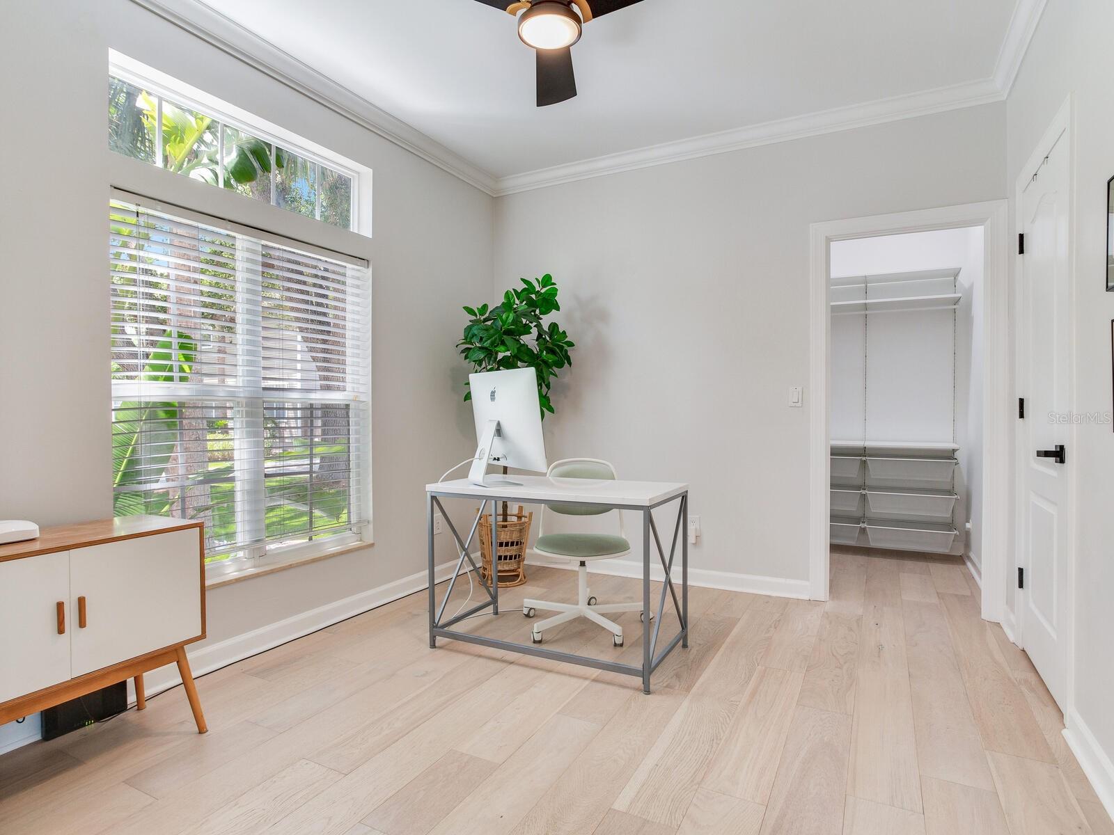 Office or downstairs bedroom