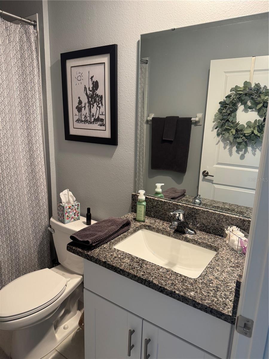 Guest Bath - Shower/Tub Combo