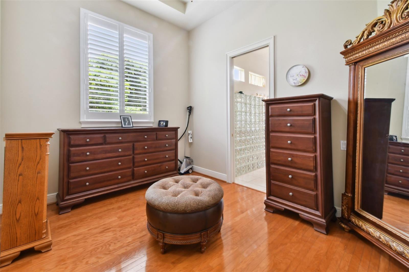 Dressing up area of off the walk-in closets.