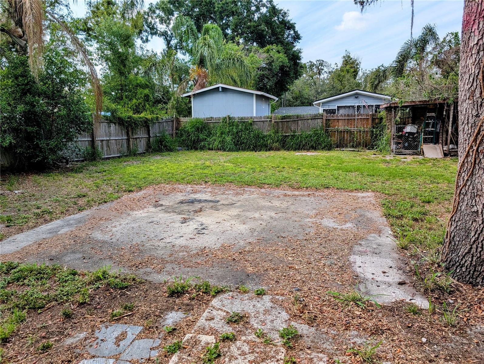 Back yard-
