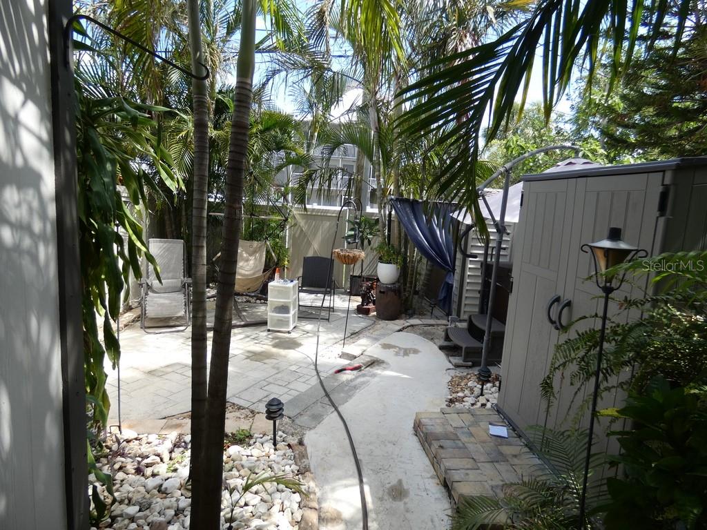 Back Yard Fun