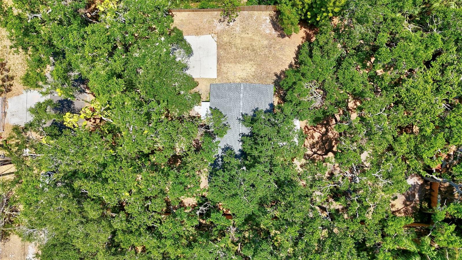 Live oak shaded lot!