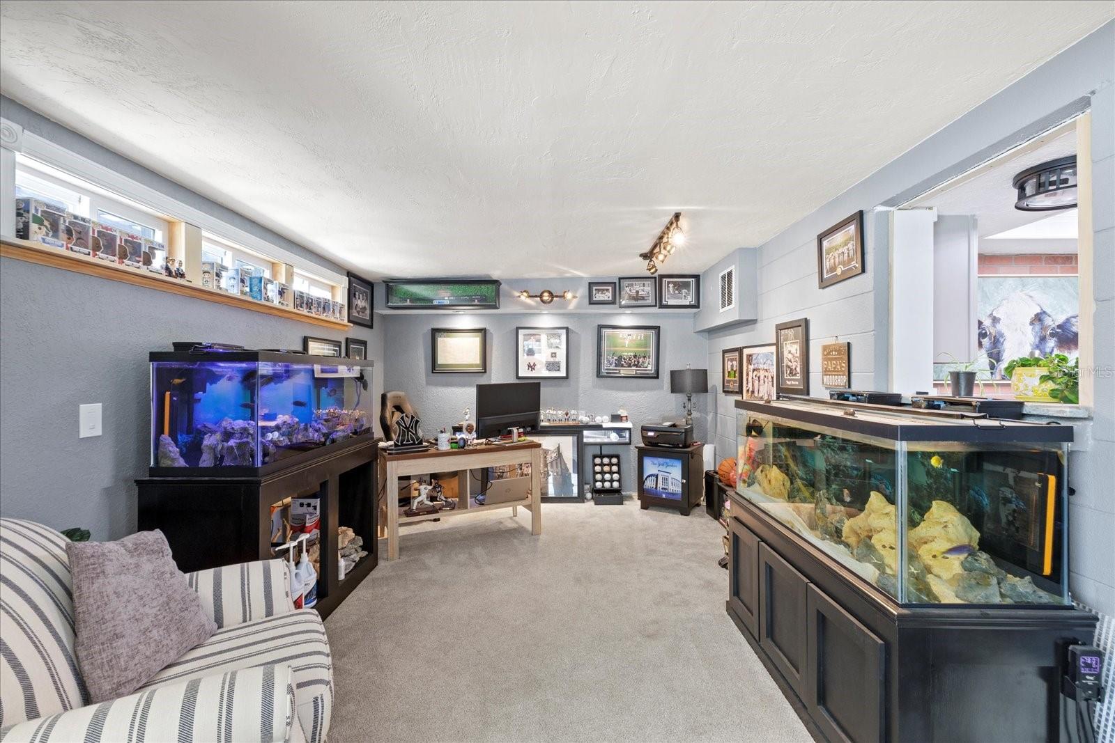 Office or den