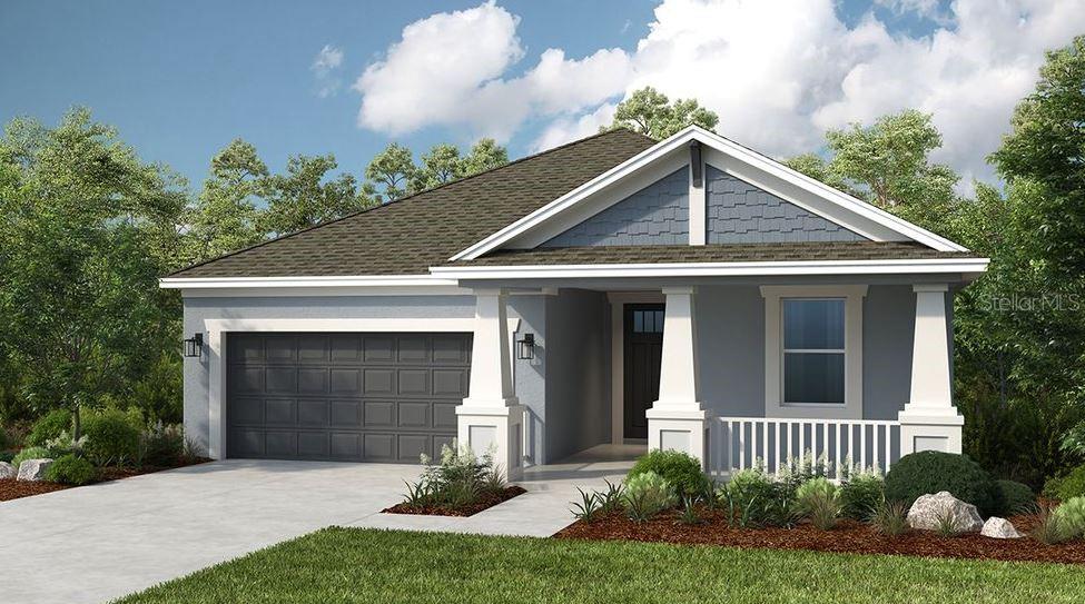 The Aruba ~ Rendering