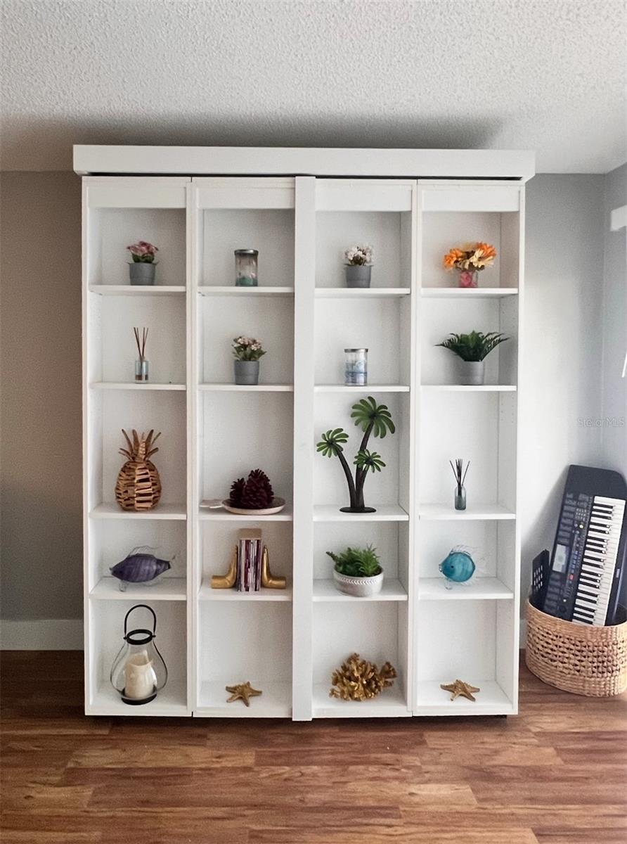Cabinet housing Murphy Bed