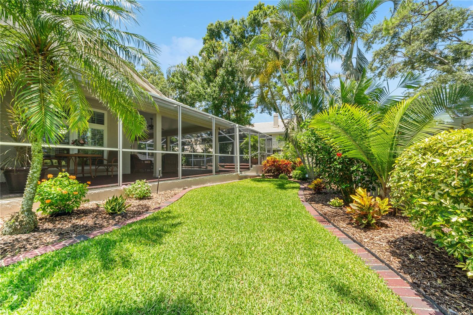 BEAUTIFUL YARD & PLANTS