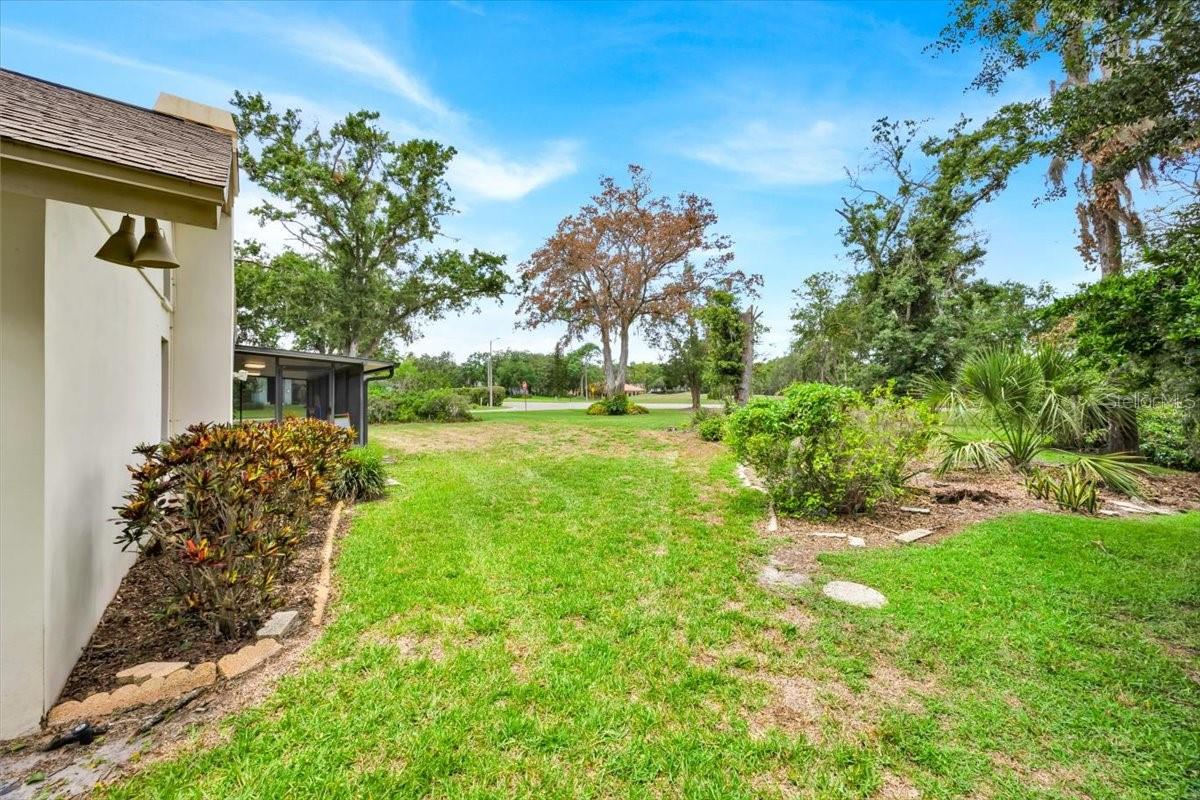 Exterior Backyard