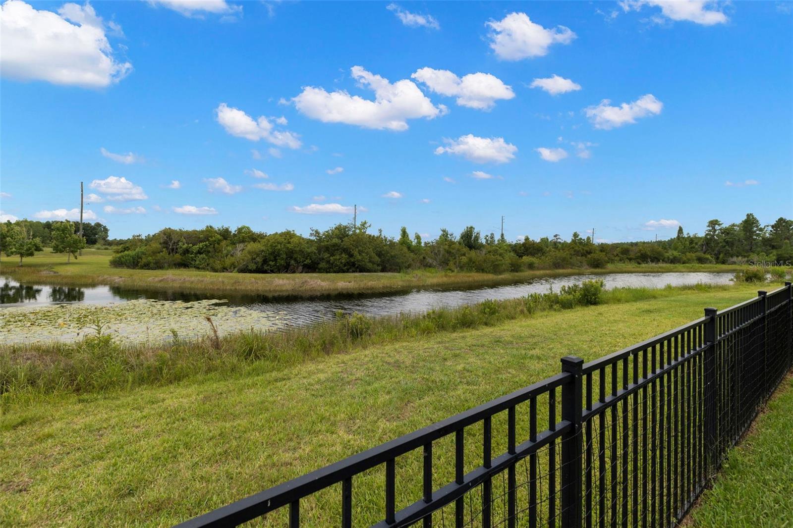 CONSERVATION & WATERFRONT VIEW
