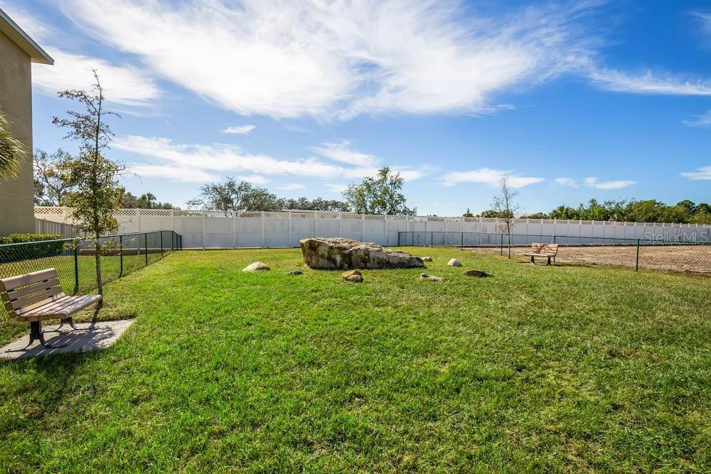 Fenced in Dog Park