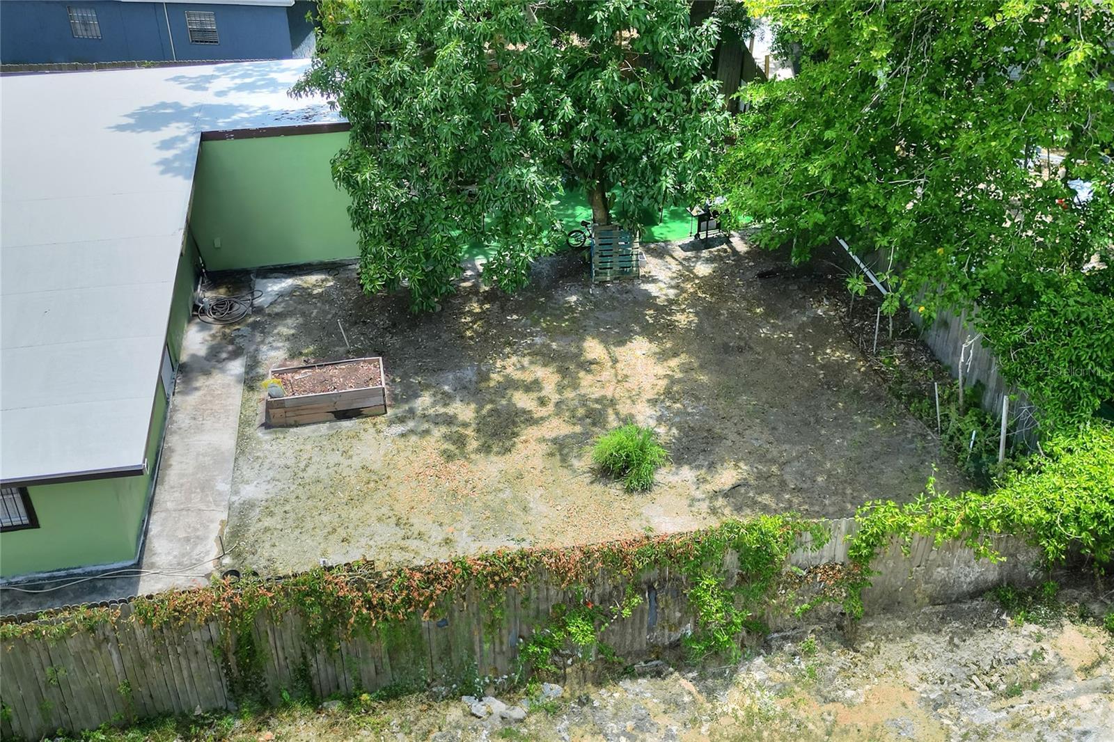 Back yard
