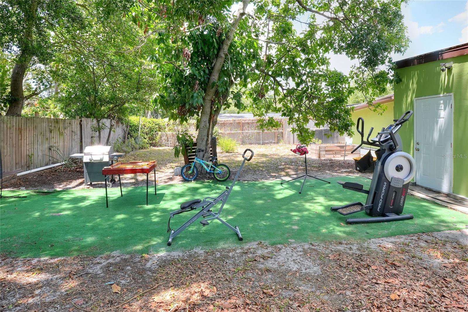 Back yard