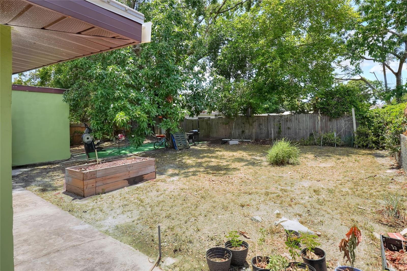 Back yard, plant a garden!