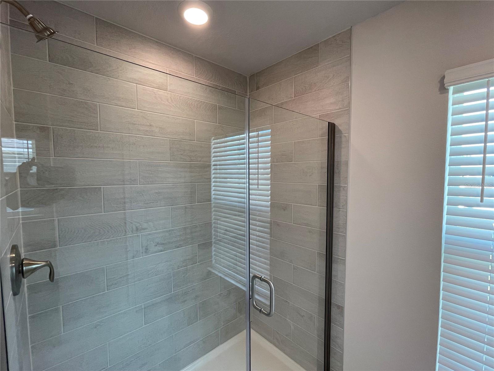 Primary Shower