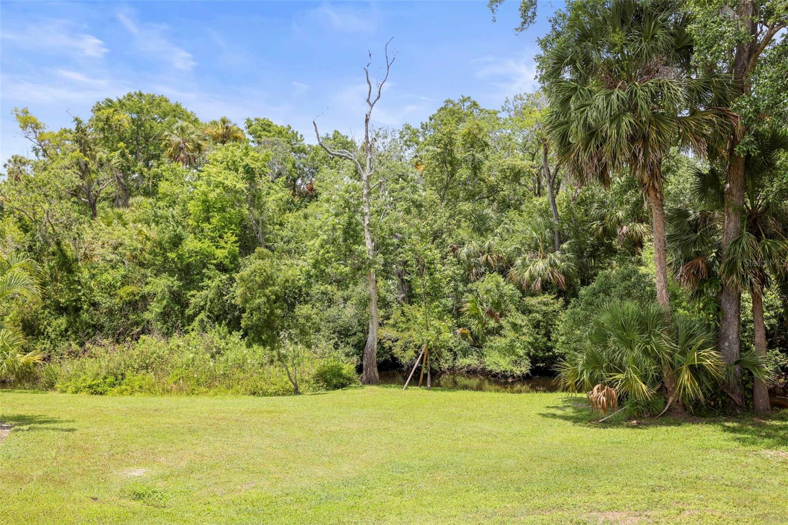 Lots of greenery to see from patio