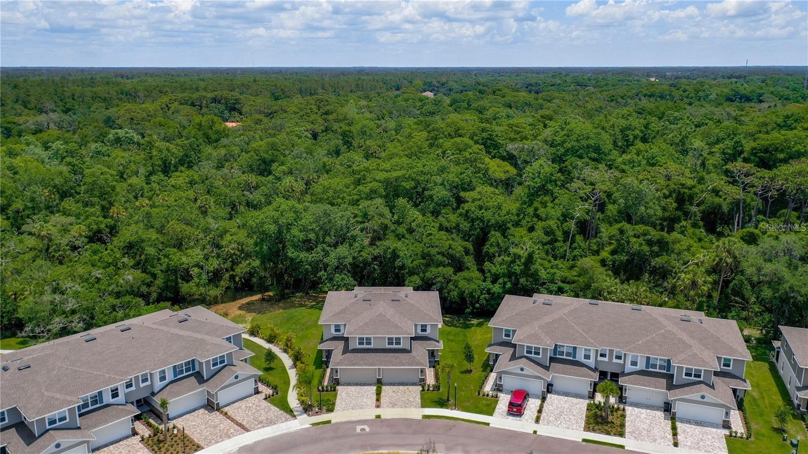 Nature preserve behind townhomes of Riverwalk Preserve