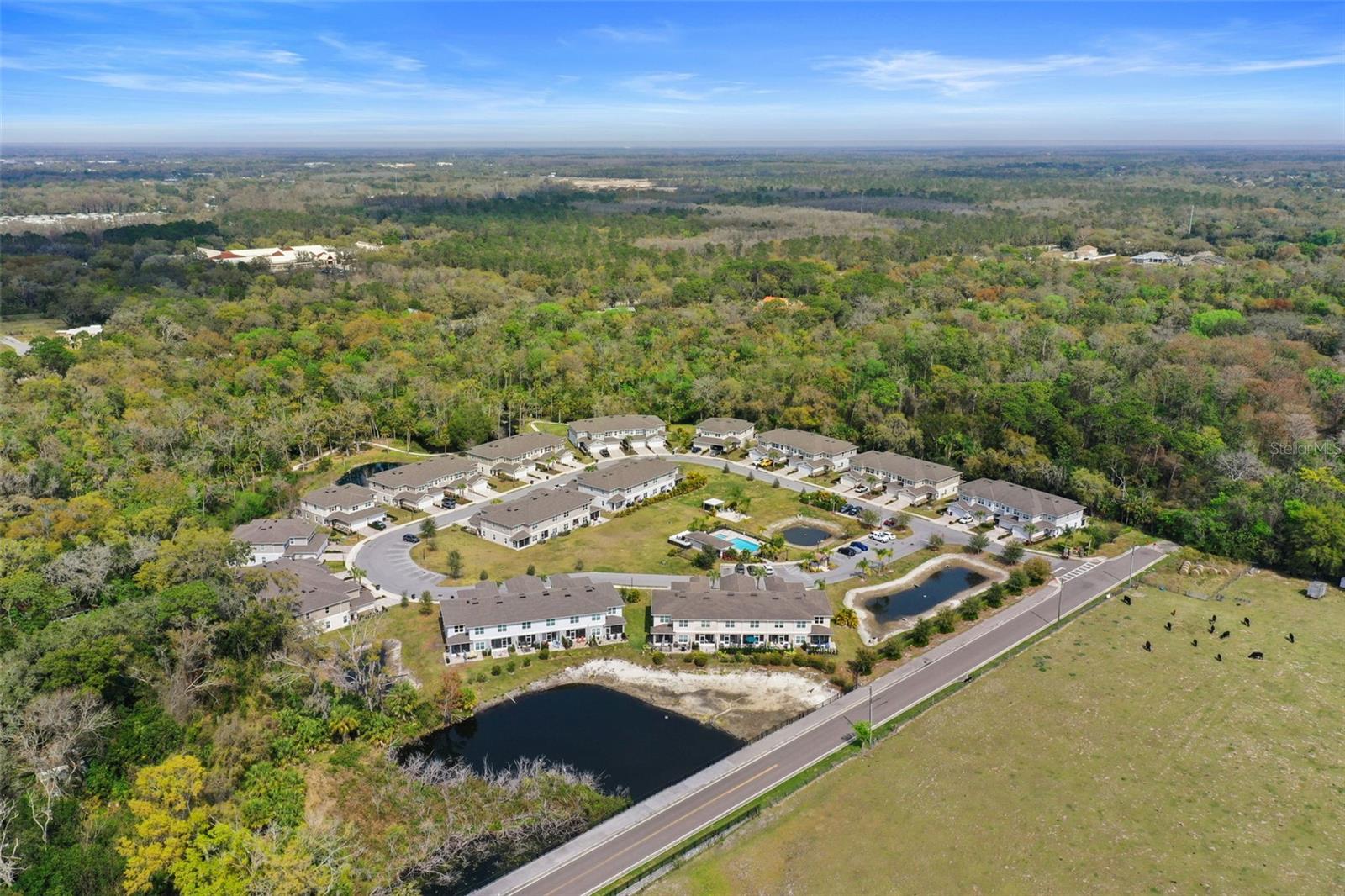 Aerial view of community