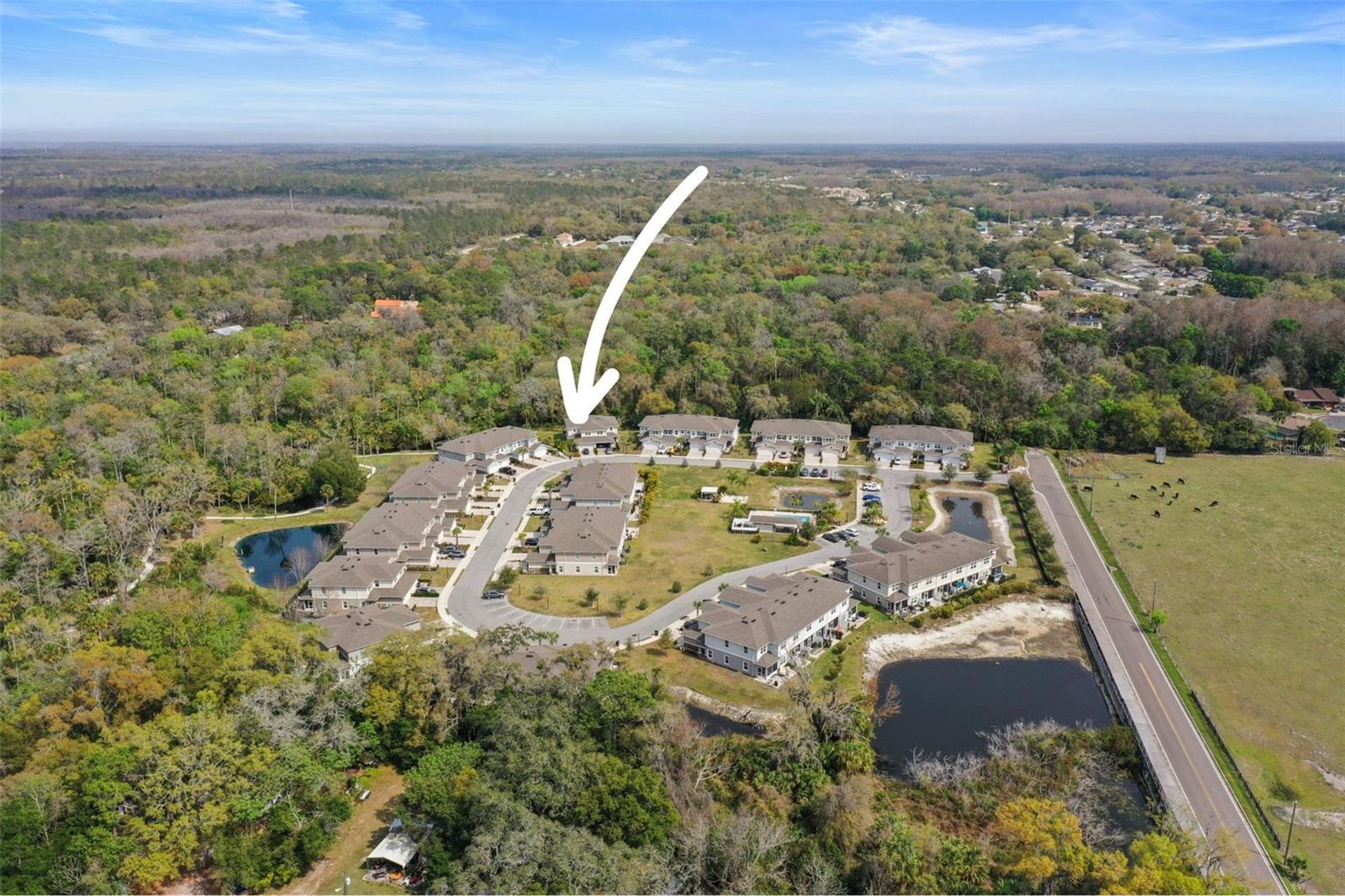 Aerial view with home designated