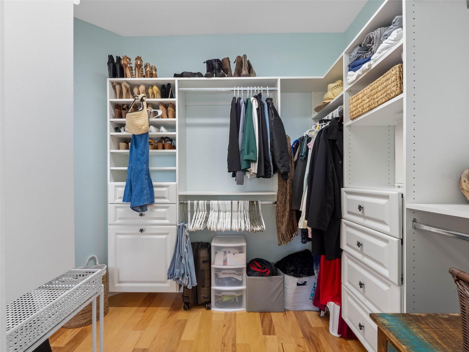 Guest bedroom walk-in closet
