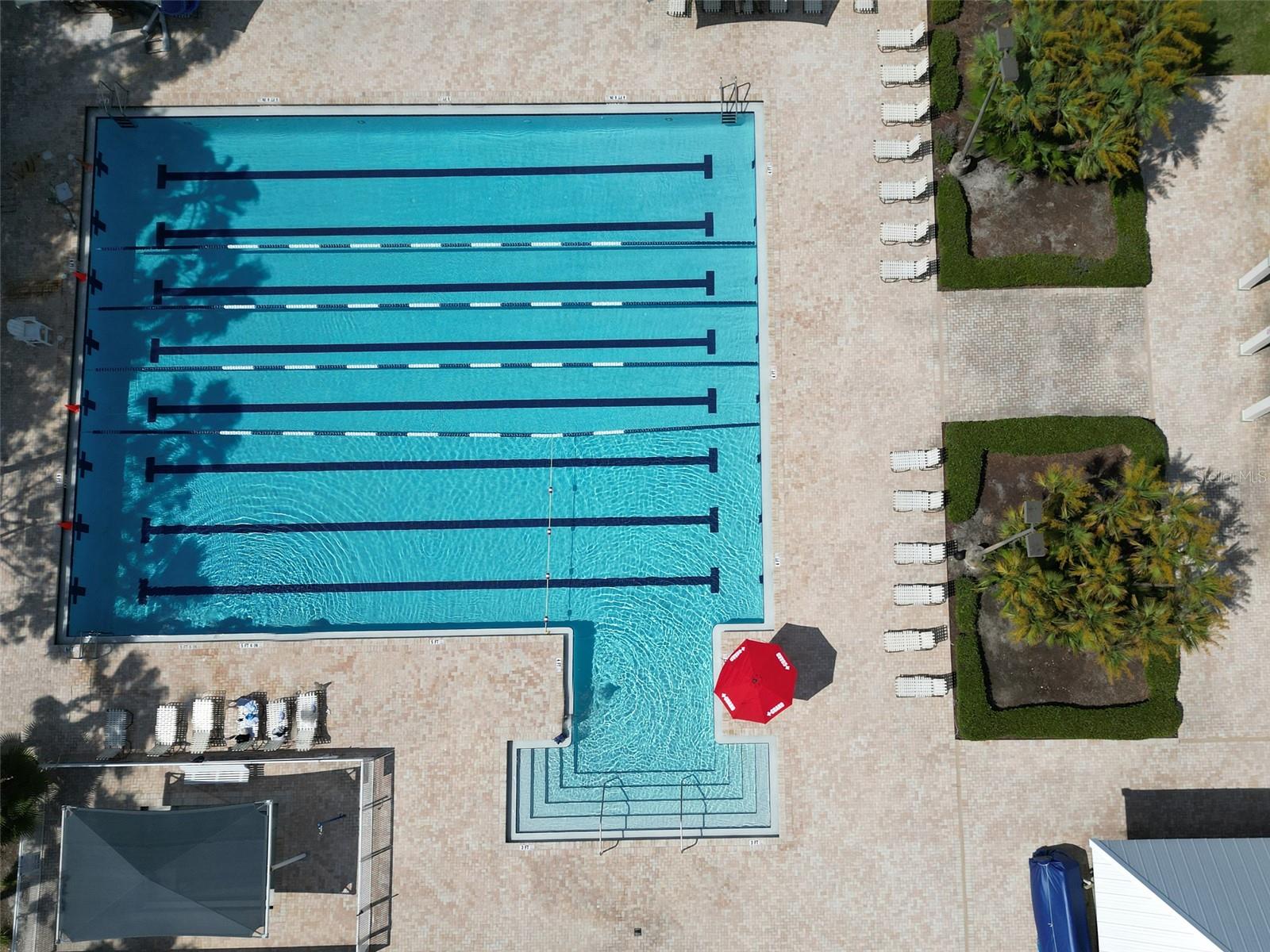 Westchase community Pool