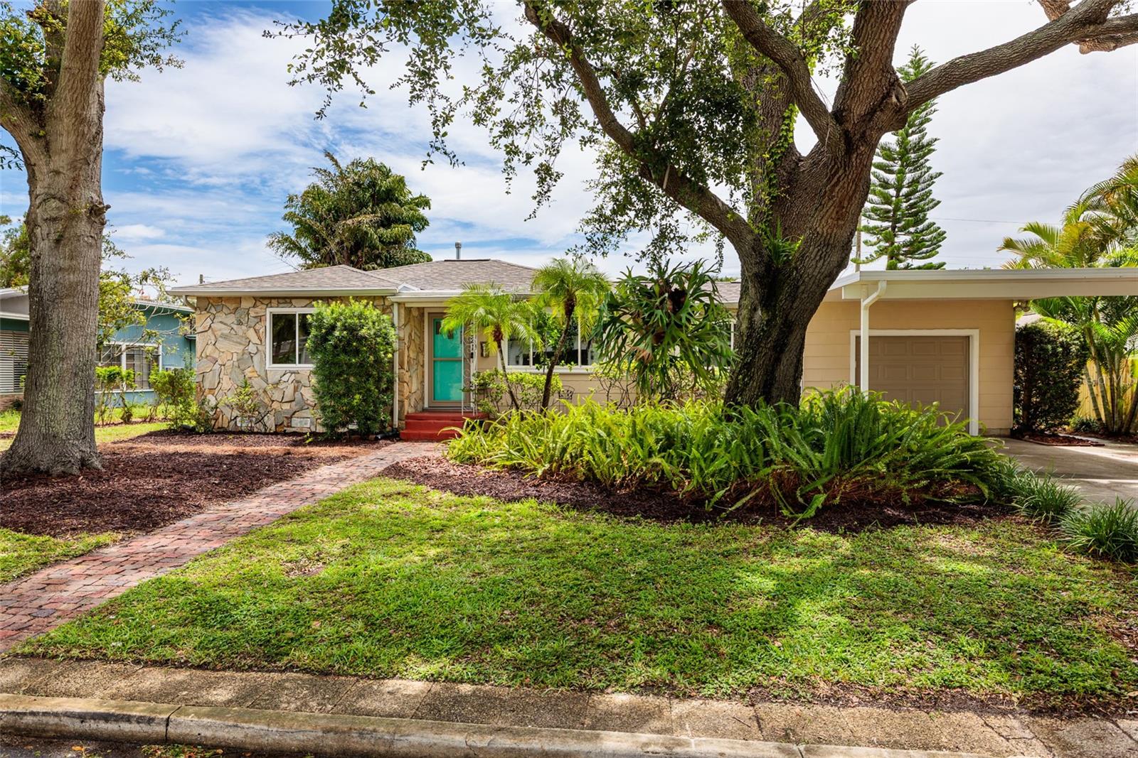 Stunning Live Oak Tree in the Front