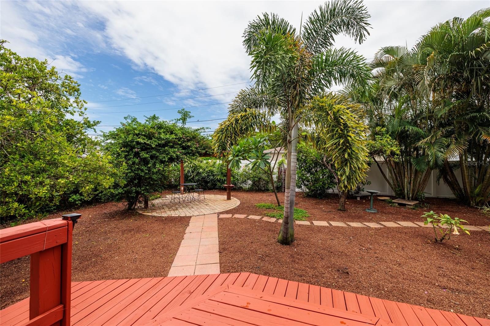 Beautiful back yard oasis