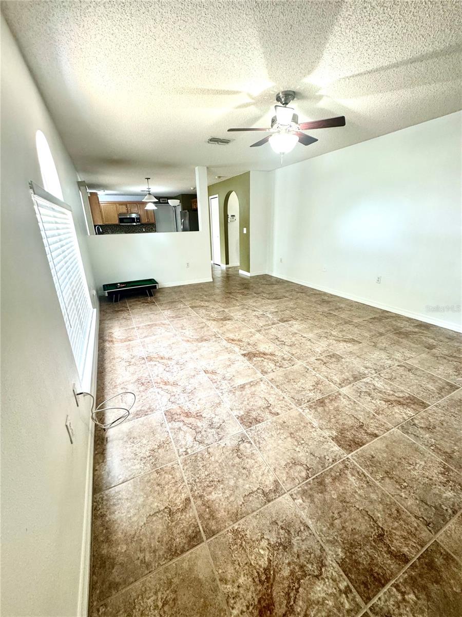 Living Room (open concept into the kitchen)