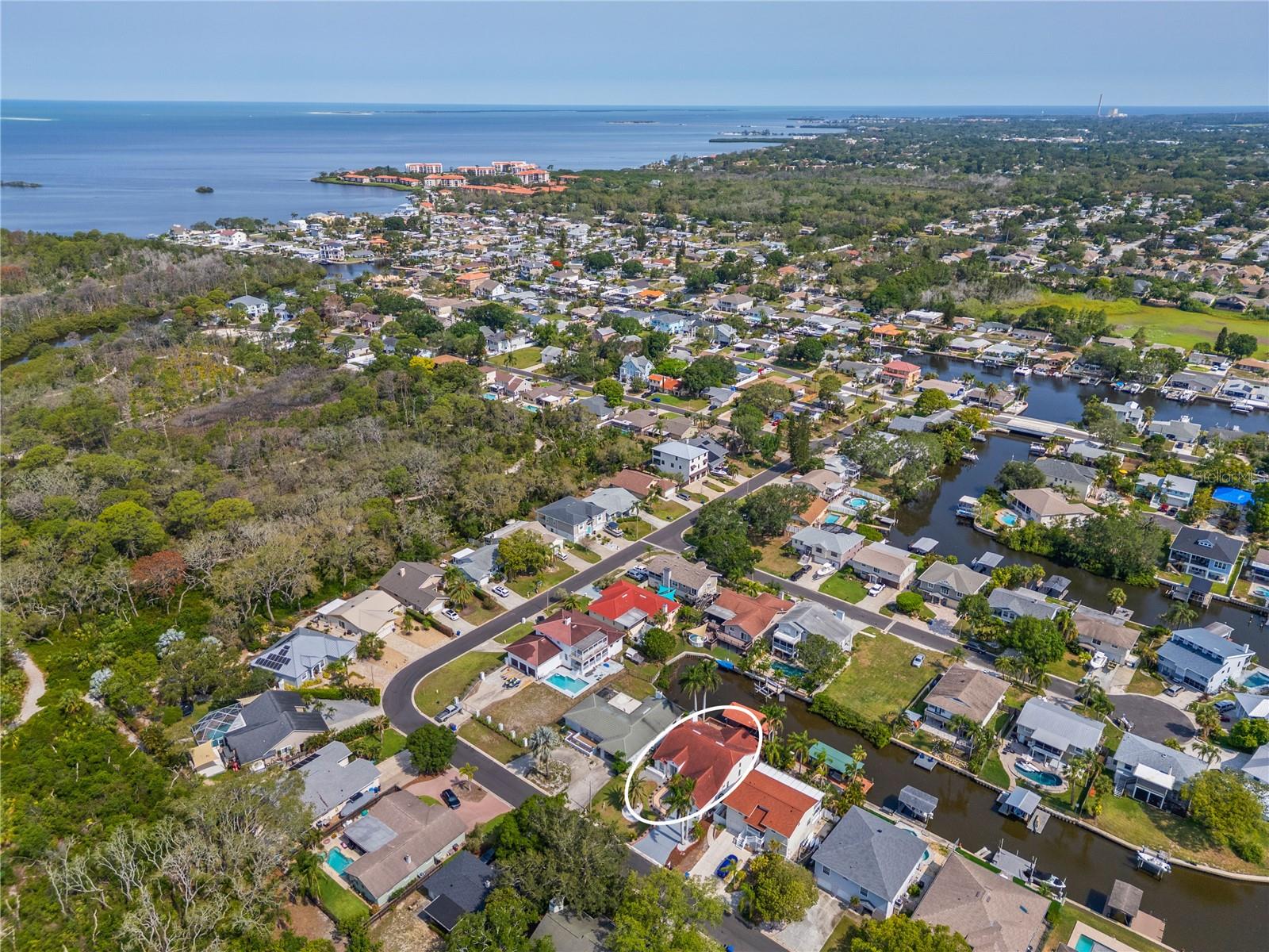 Ariel View
