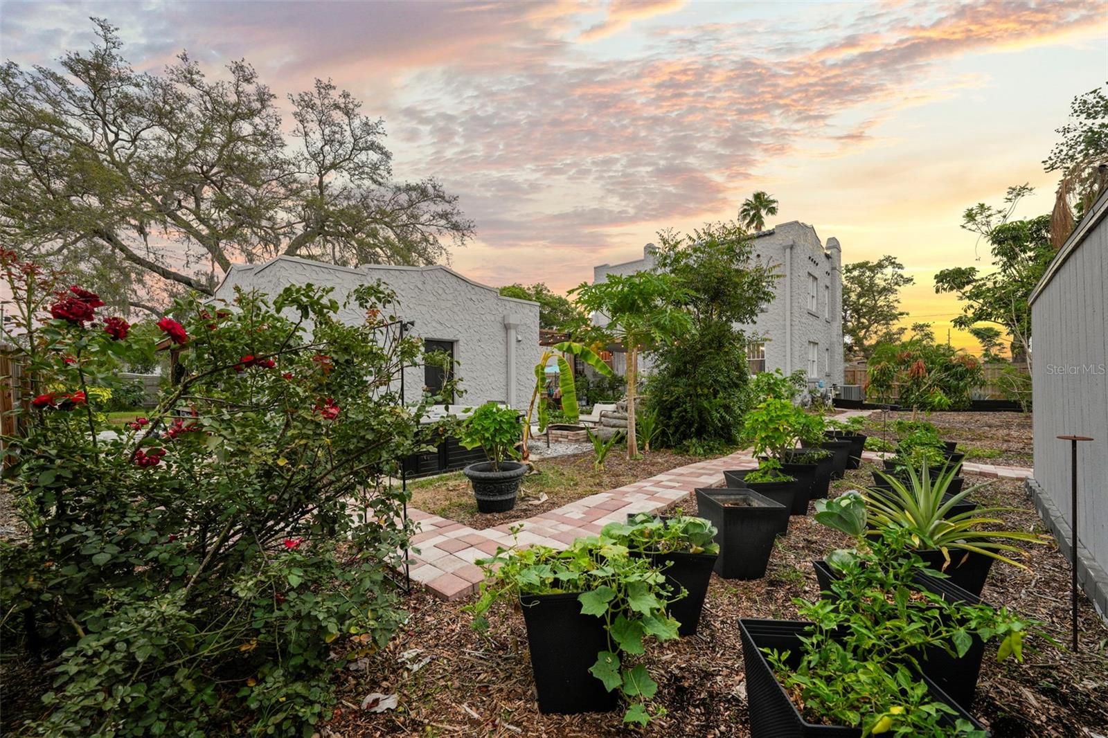 Additional space for cultivated vegetables