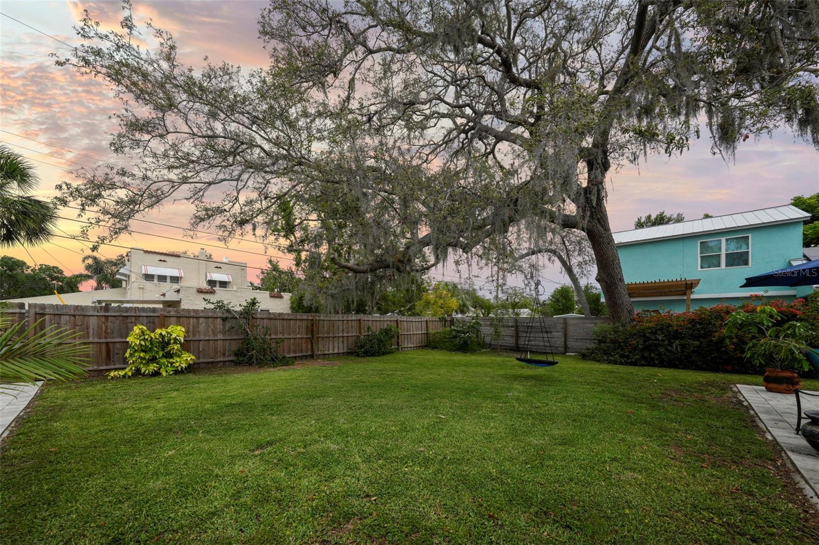Every home should have a tree swing