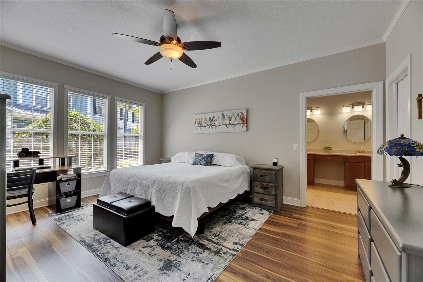 TONS of Natural light.