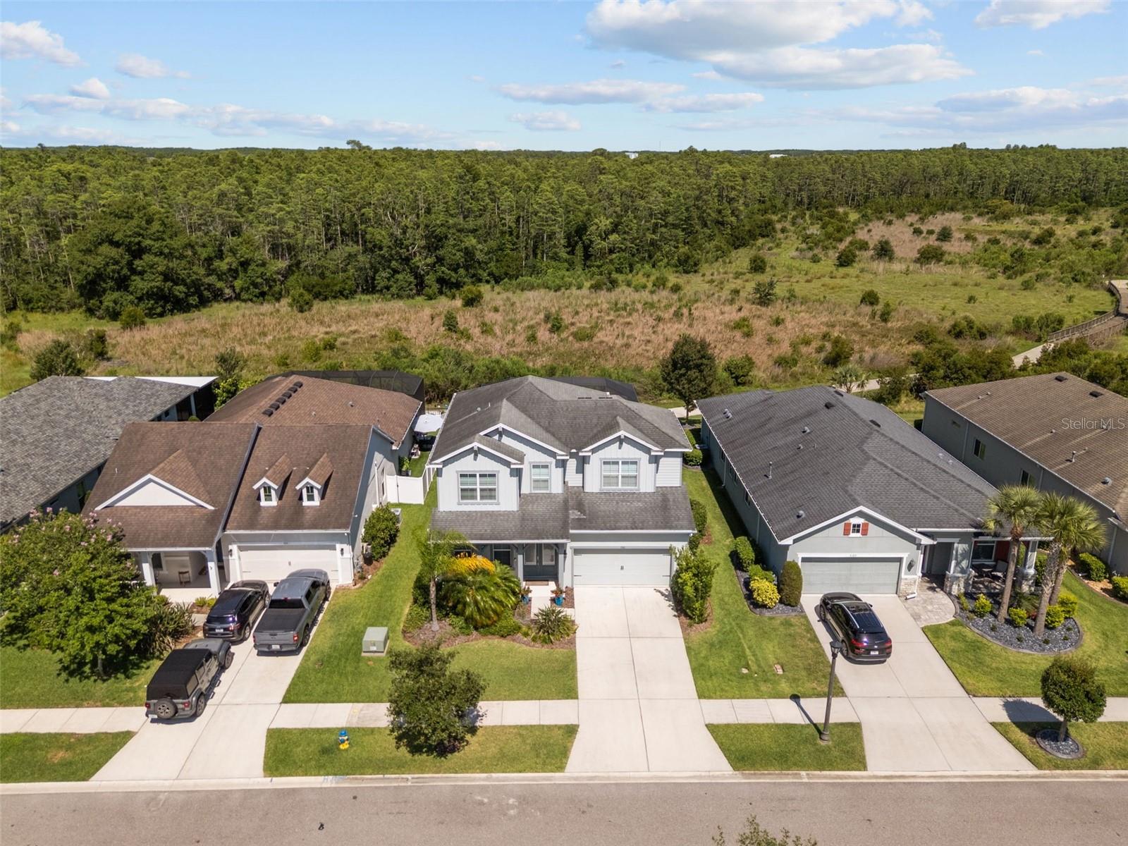 Aerial View of the expansive conservation view