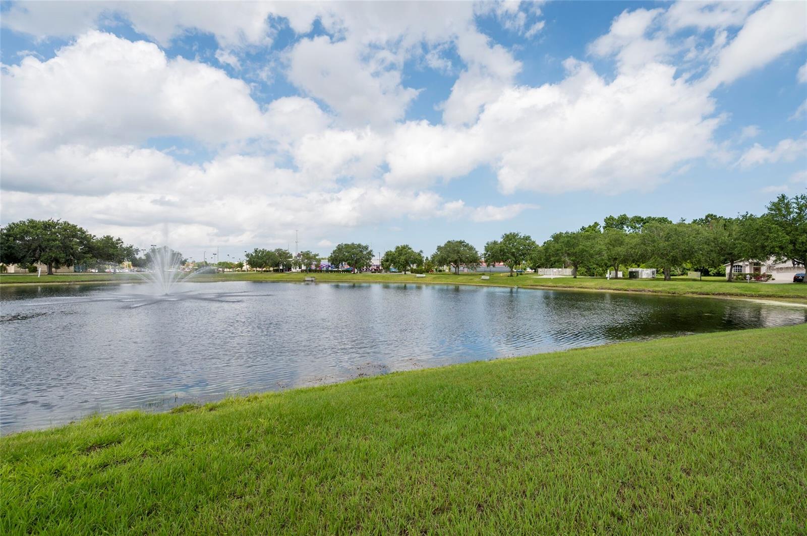 POND
