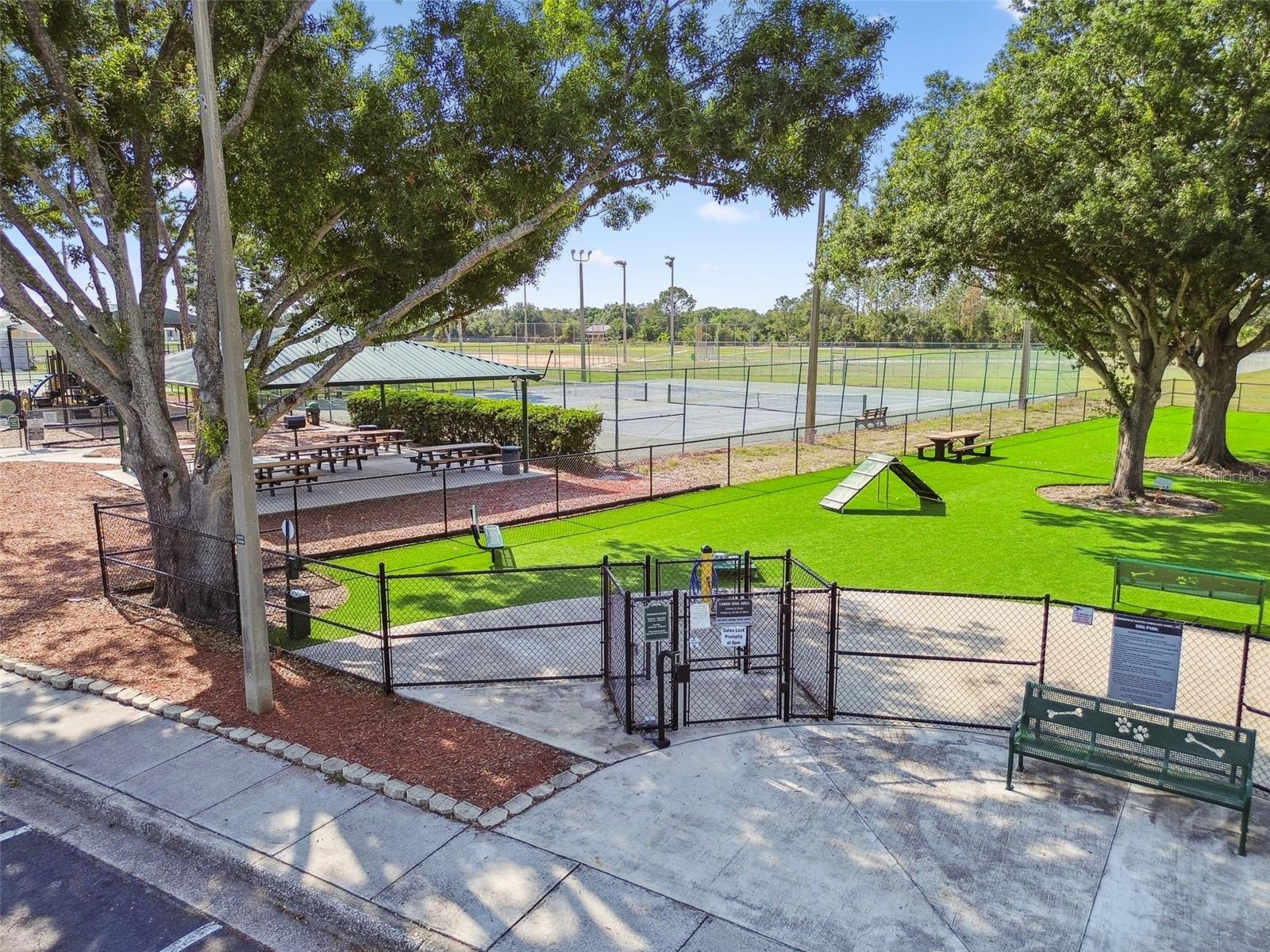 dog park
