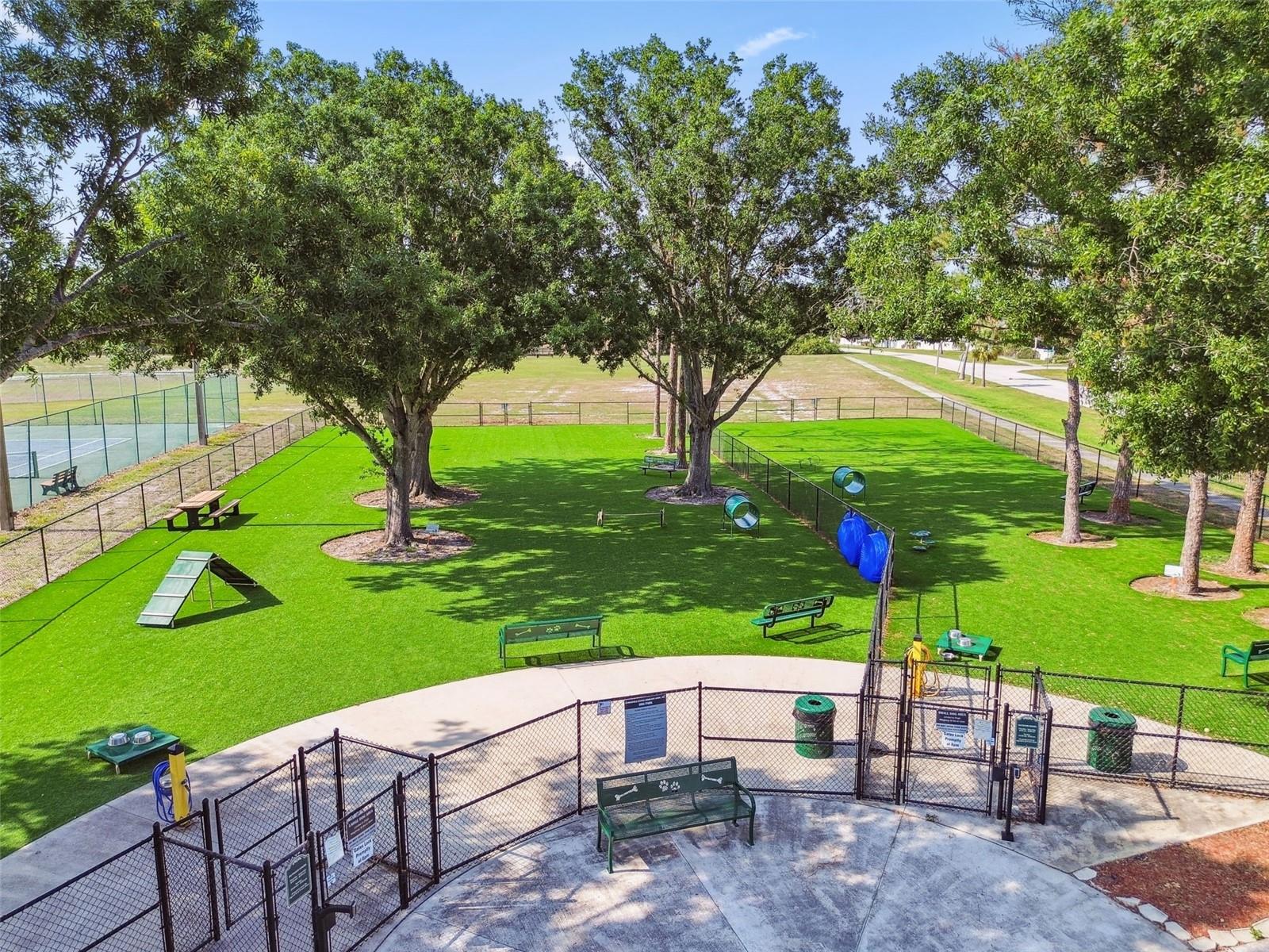 dog park