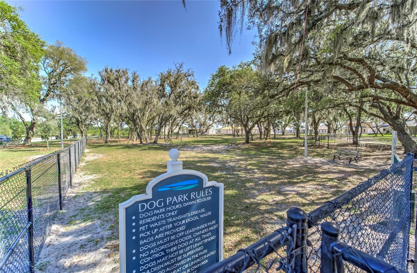 Dog Park