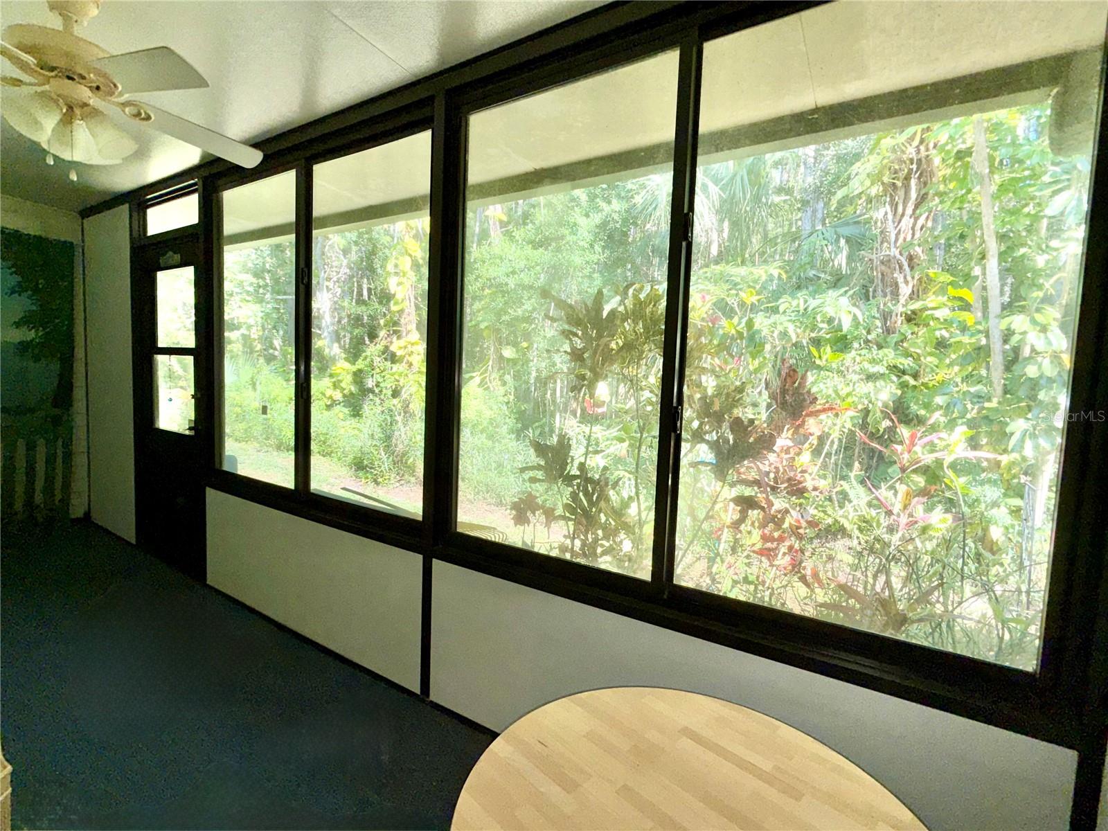Long enclosed porch overlooking the woods.