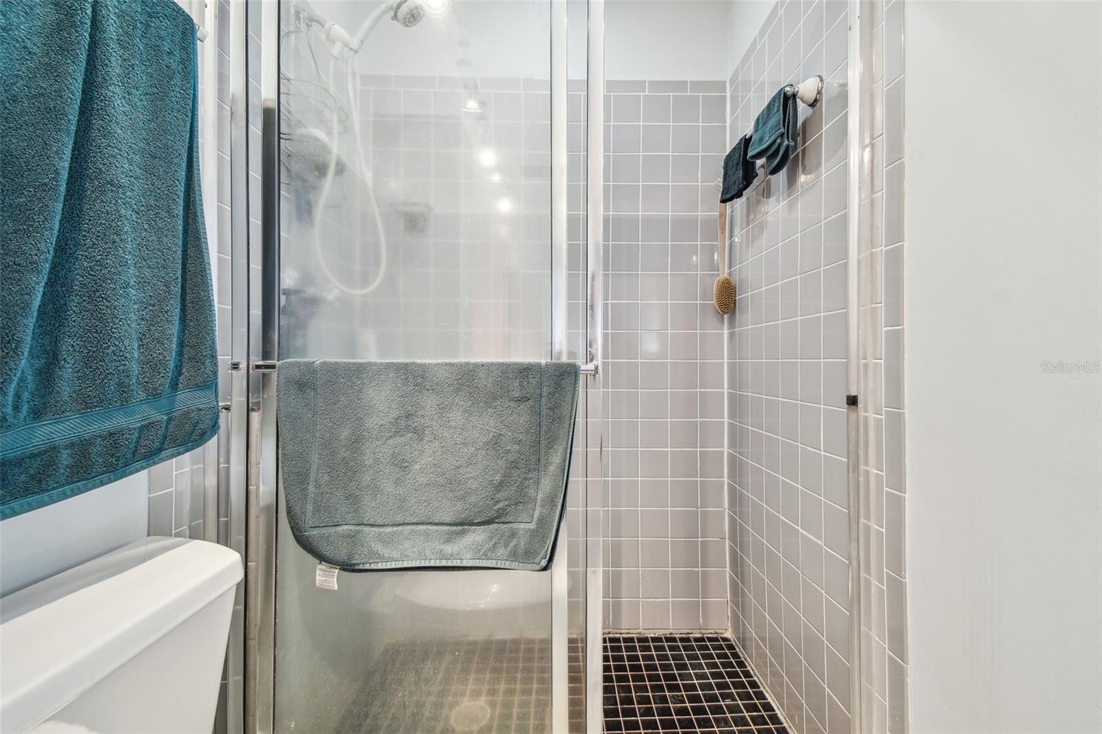 Primary Bathroom Walk-in Shower