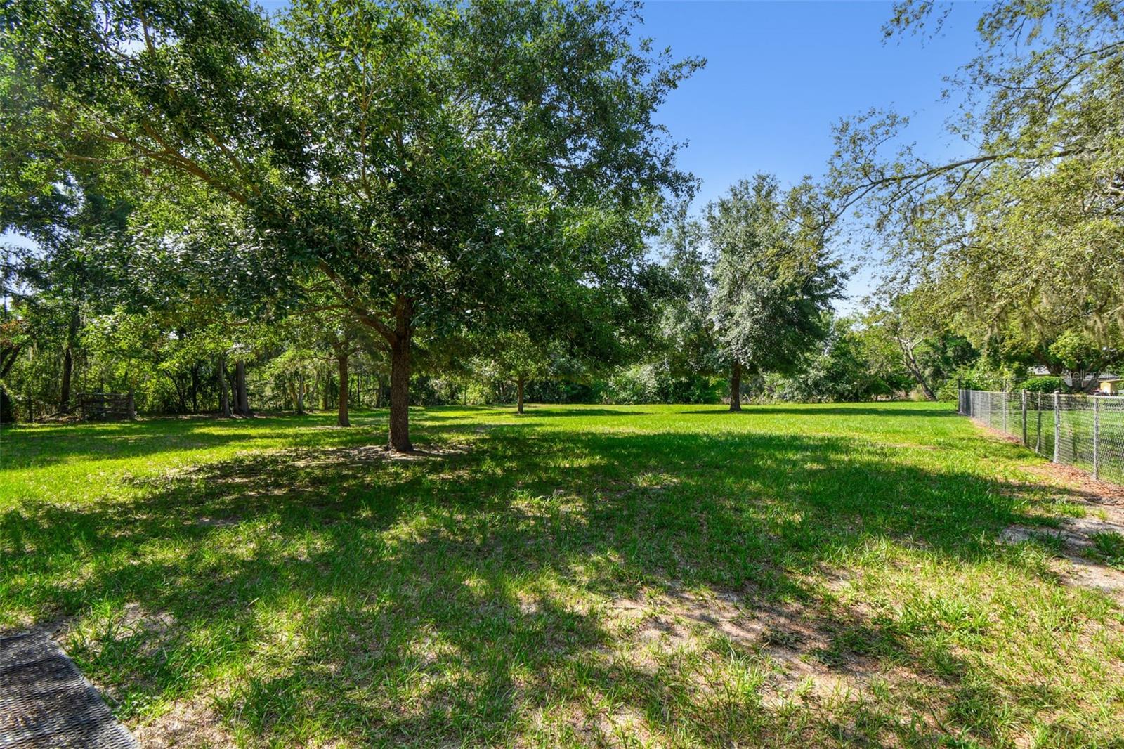 HUGE Backyard