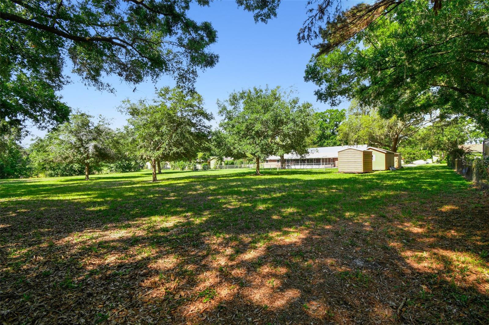 HUGE Backyard