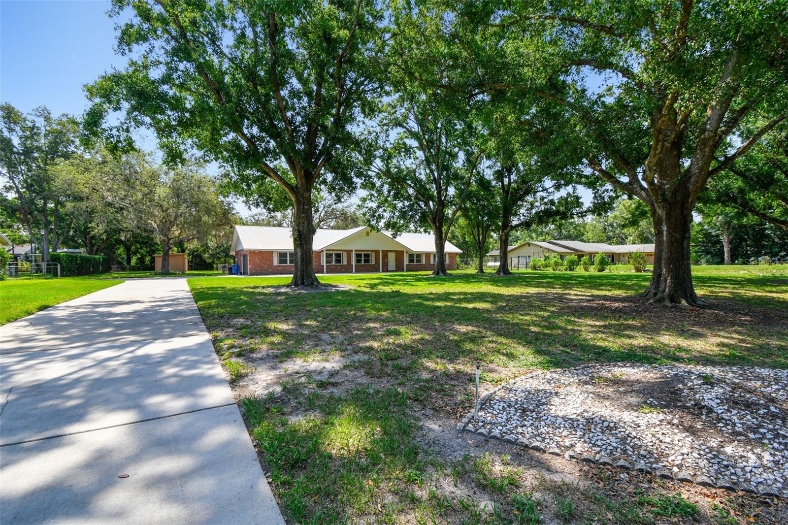 Front Yard & Driveway