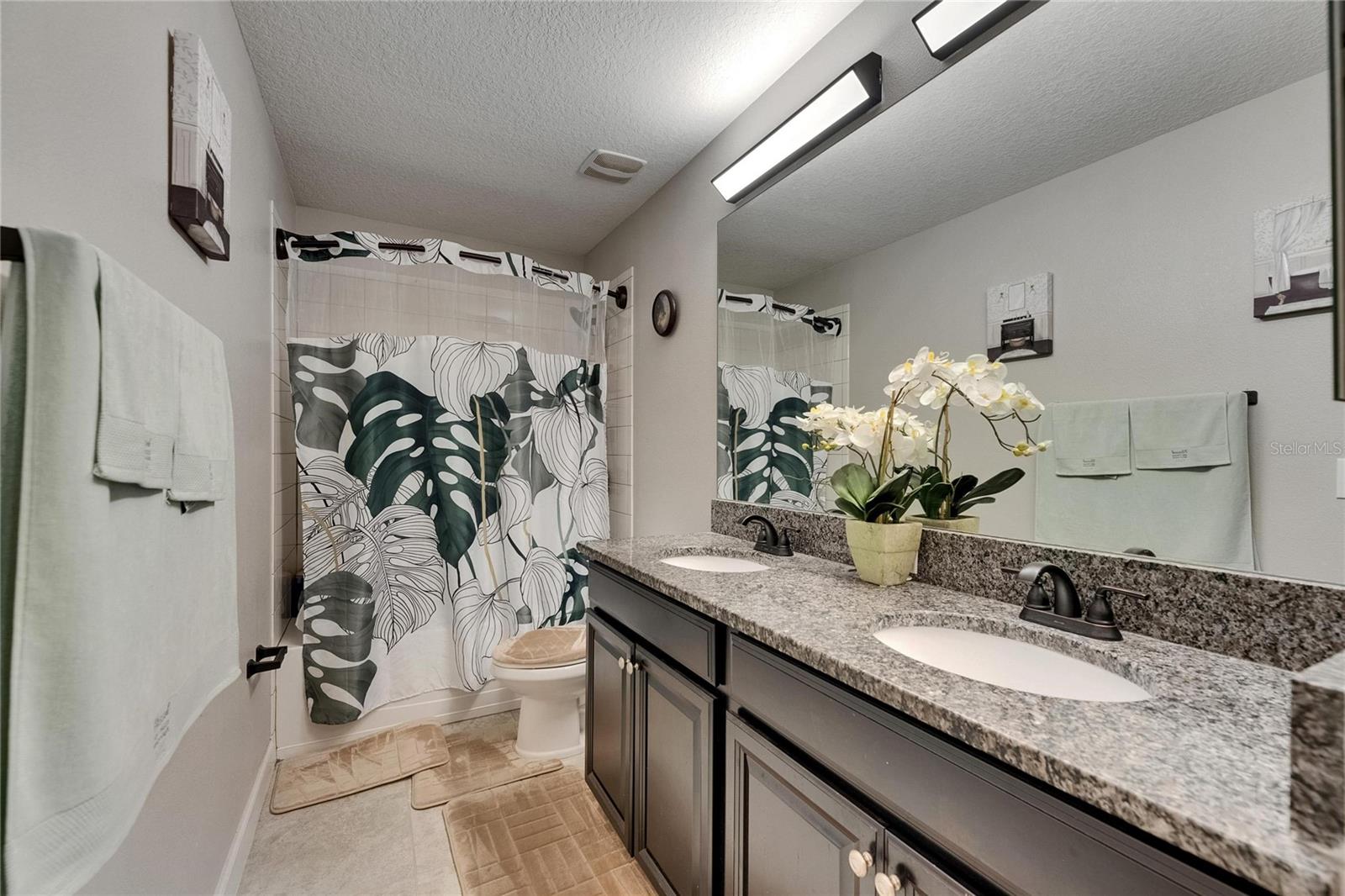 3 full bathrooms in this home, this is a hall bath with double sinks, easy to clean granite, LED light fixtures