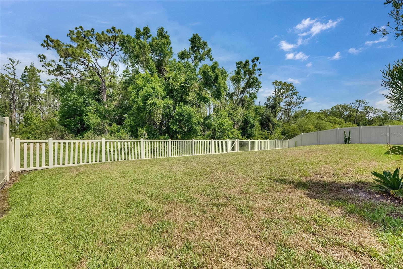 fully fenced back yard