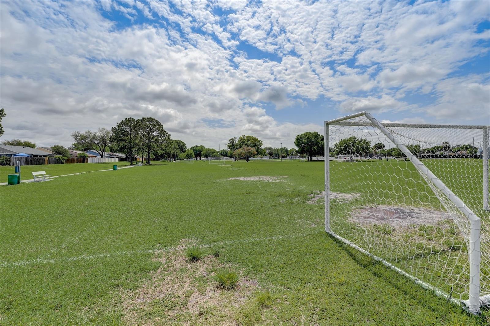 Soccer Field