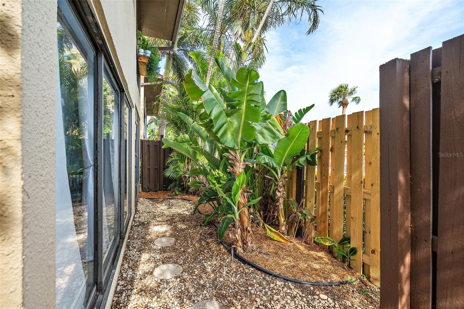 Courtyard area outside living room