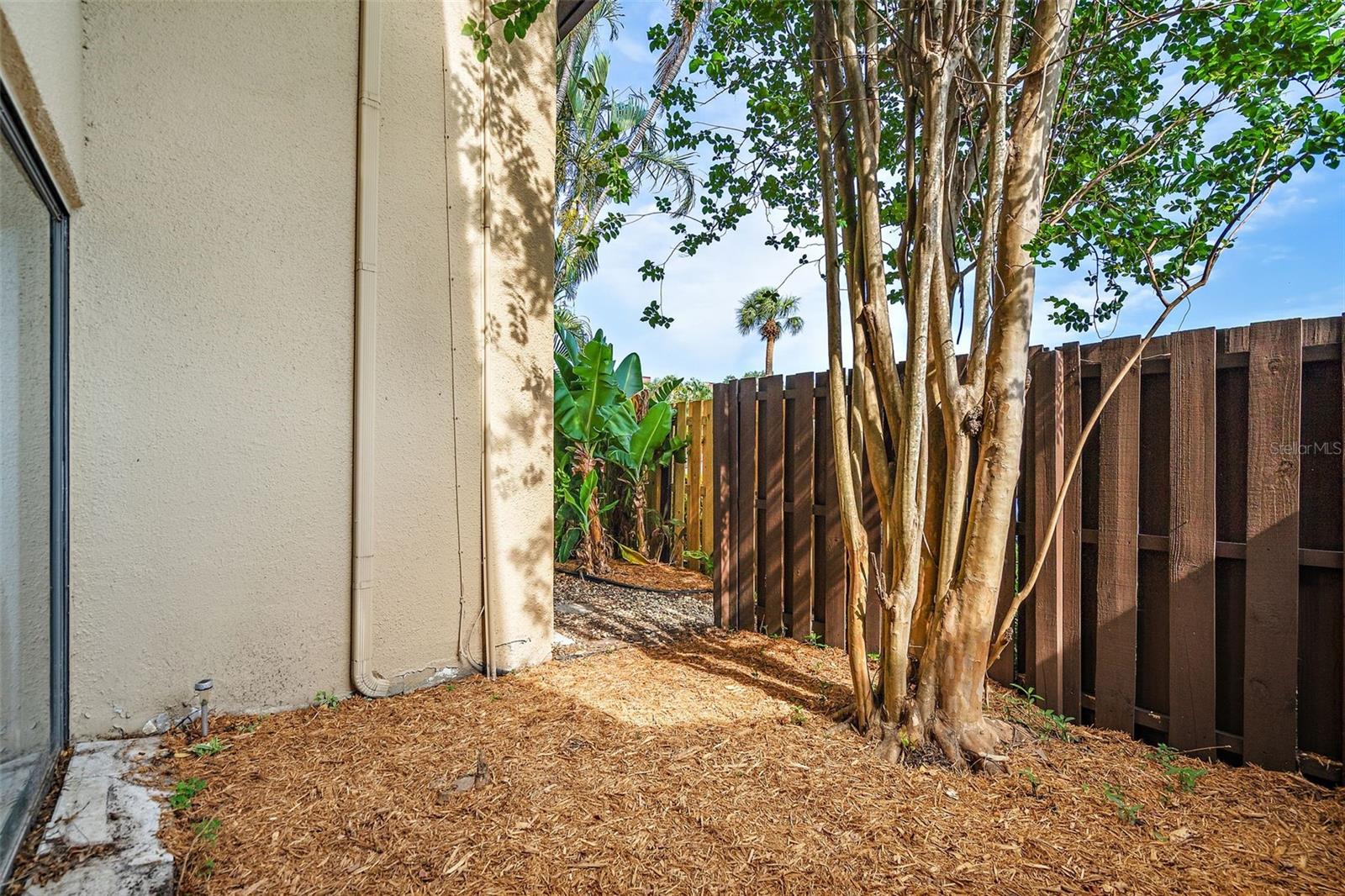 Courtyard area outside bedroom