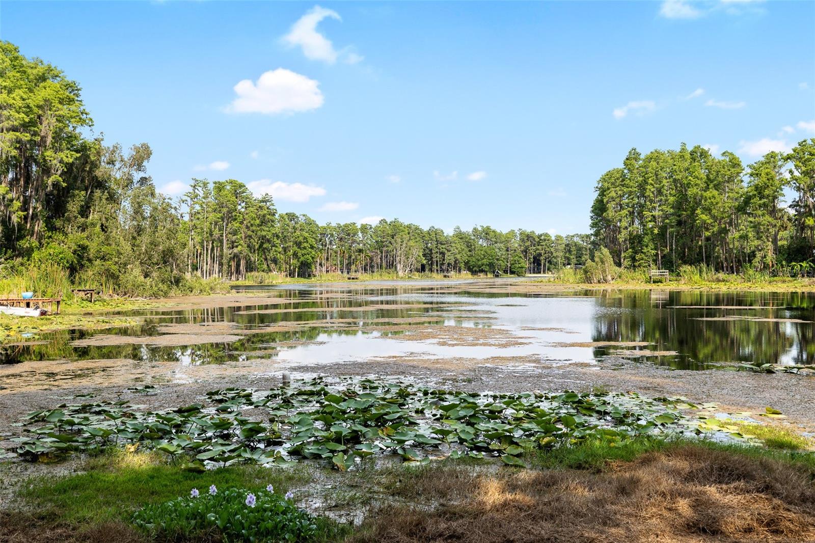 Lake View