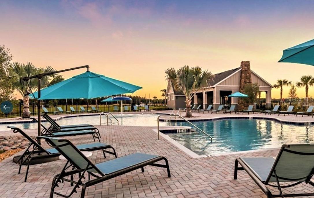 Resort Amenities