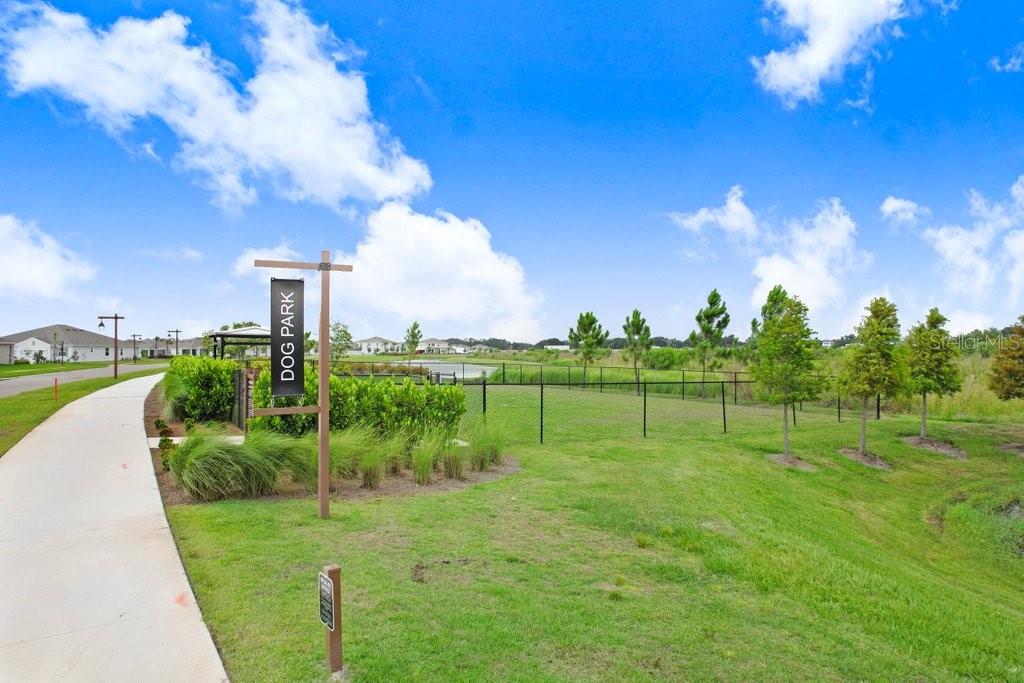 Dog Park